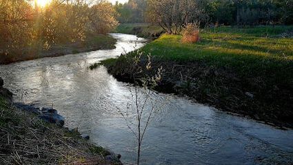 Calm stream in Kleinburg, Ontario